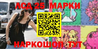 индика Гусиноозёрск