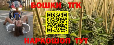 индика Гусиноозёрск