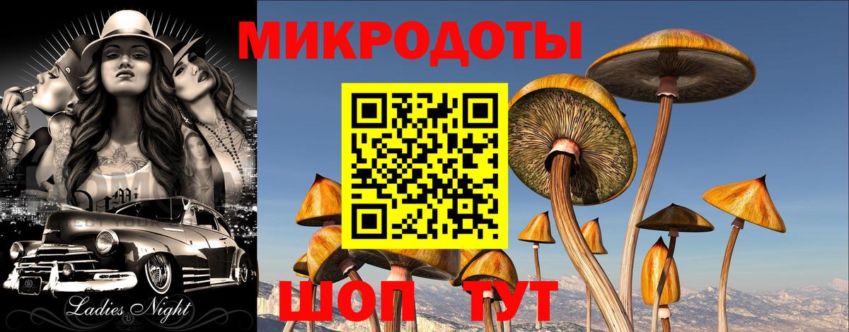 Псилоцибиновые грибы мицелий Ленинск-Кузнецкий