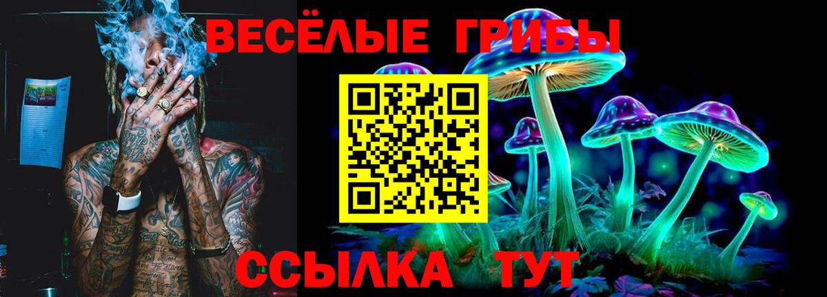 Галлюциногенные грибы Magic Shrooms  Вход с VPN  Псилоцибиновые грибы мухоморы  Ленинск-Кузнецкий 